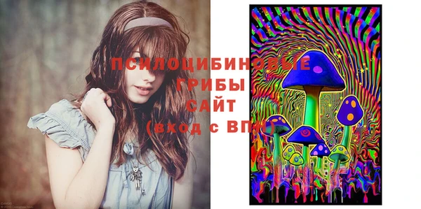 спайс Арсеньев