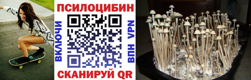 Галлюциногенные грибы ЛСД купить наркоту Приозерск